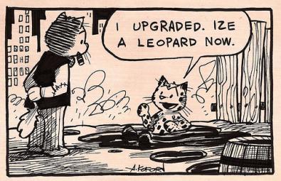 Leopard crackato