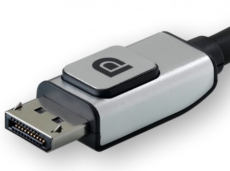 DisplayPort rid