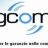 AgCom Nemesys