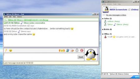 altri servizi come msn amsn