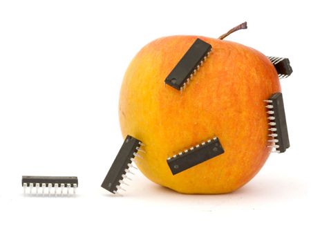 Apple bug