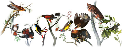 audubon11 hp