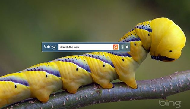 bing desktop download beta