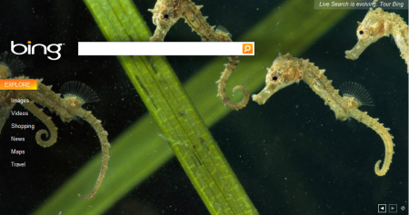 bing: homepage