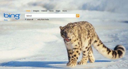 bing indicizzazione mondiale