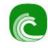 BitTorrent copyright