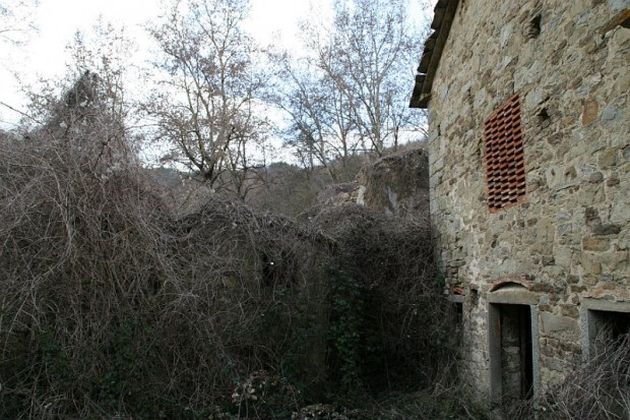 borgo vendita ebay
