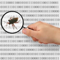 Bug