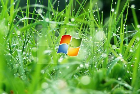 desktop animati