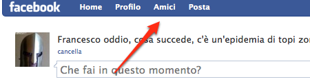 facebook: cliccate su Amici