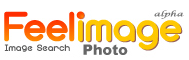 Feelimage logo