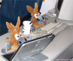 file sharing