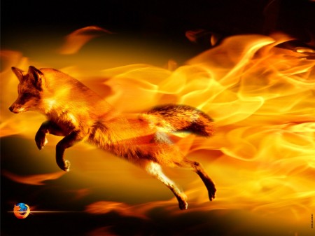 firefox PDF