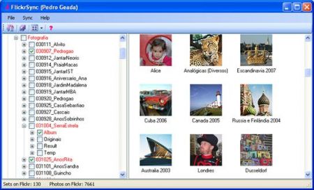 FlickrSync