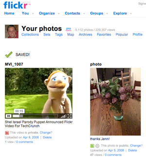 flickrvideo