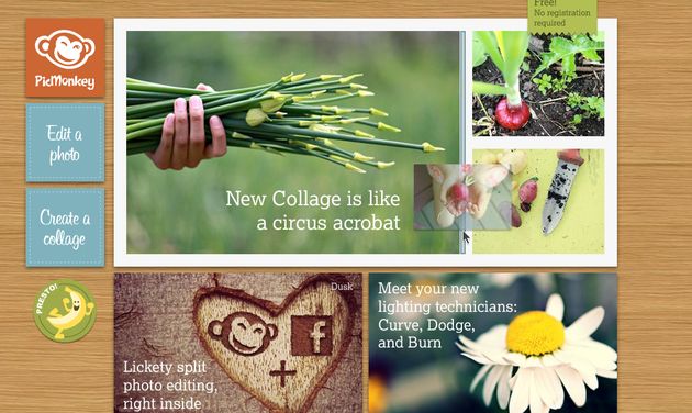 fotoritocco gratis picmonkey editor