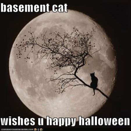 basement cat halloween