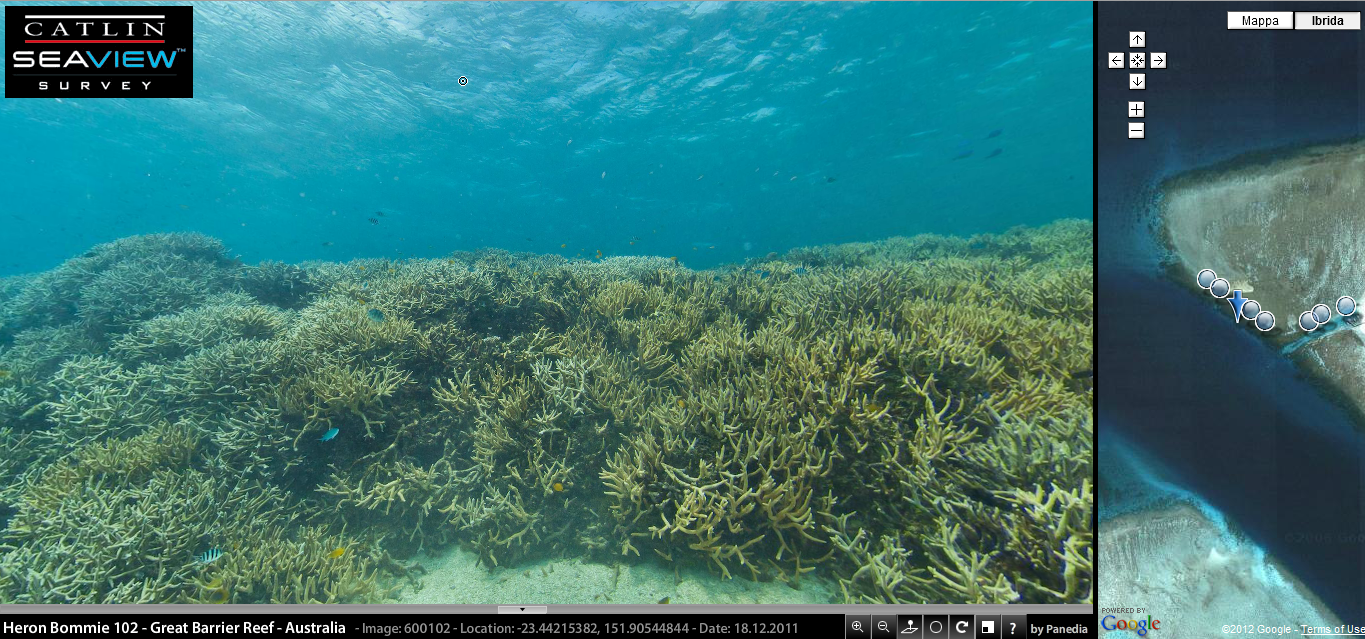 google seaview
