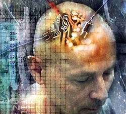 Brain