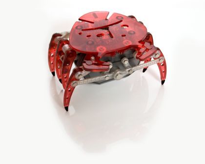 il granchio hexbug