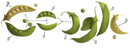 gregor mendel