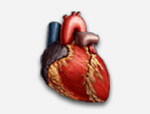 heart monitor