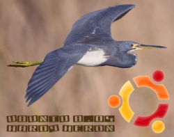 hardyHeron