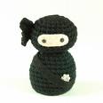 Un ninja che controlla il vostro collegamento...