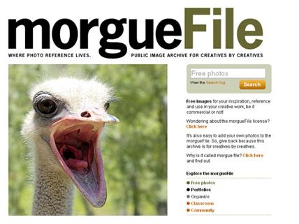 immagini morguefile
