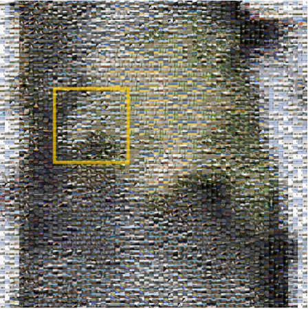 Infinite Photograph