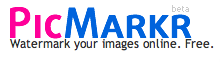 PicMarkr logo