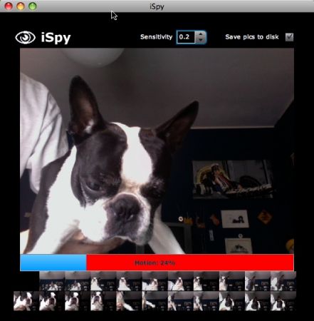 ispy screenshot