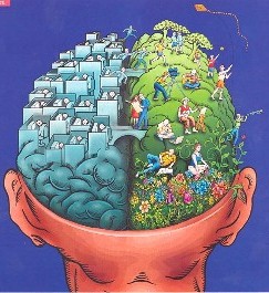 left right brain