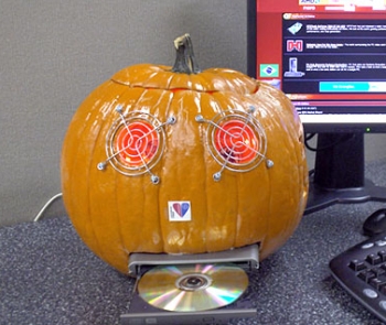 zucca cd