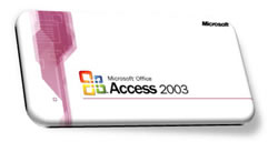 Microsoft Access