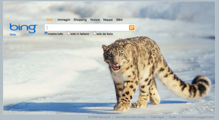 Microsoft Bing