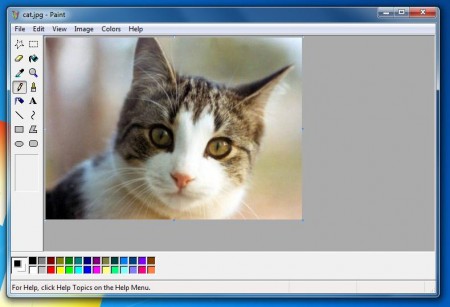 mspaintxp