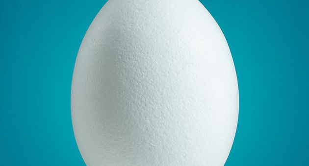 novita twitter jack dorsey intervista