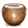 Coconut Battery logo