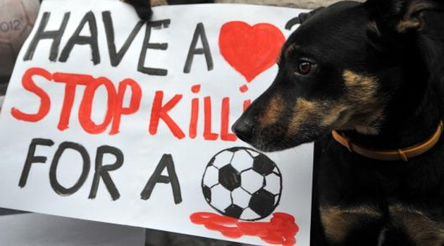 pagine facebook strage cani randagi europei 2012