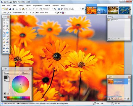 paintnet grafica
