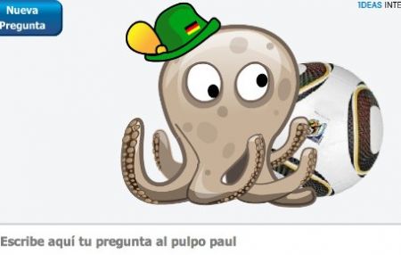 Polpo Paul
