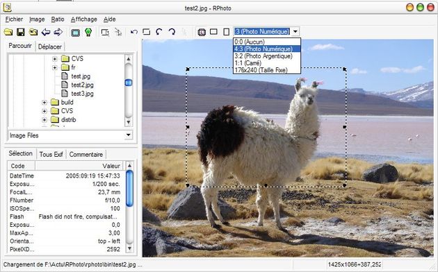 programmi fotoritocco rphoto
