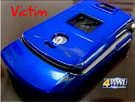 RAZR