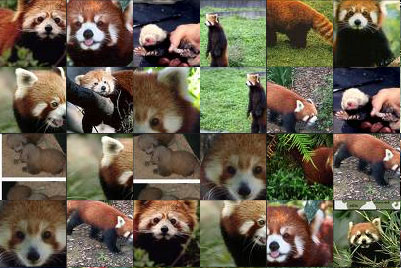 panda rossi ovunque