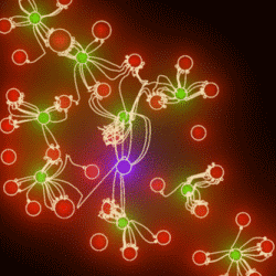 rete neurale