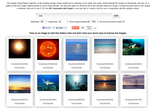 ricerca immagini online google image ripper