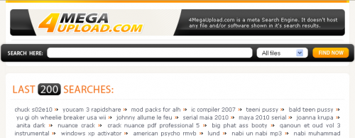 ricerca su megaupload