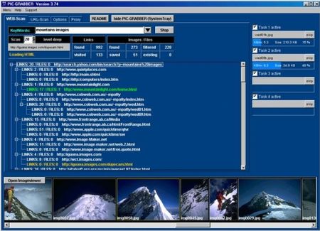 scaricare immagini video internet picgrabber