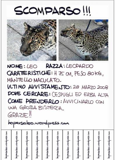 ho perso leo 3